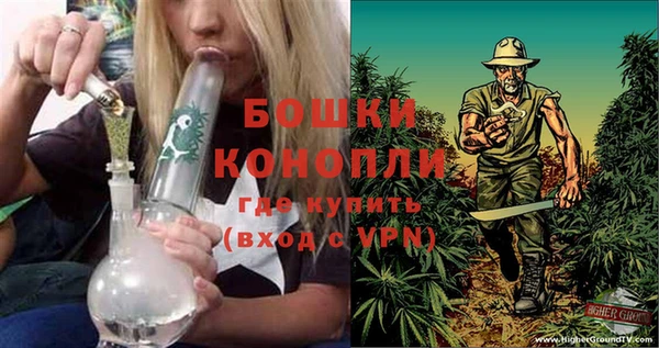 сатива Балахна