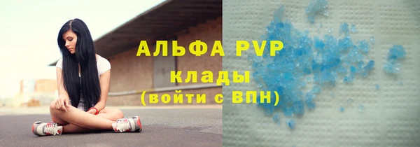 сатива Балахна