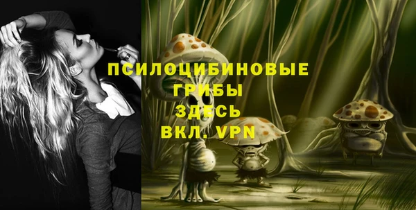 сатива Балахна
