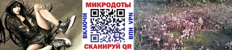 где продают   Белебей  darknet официальный сайт  Псилоцибиновые грибы мухоморы 